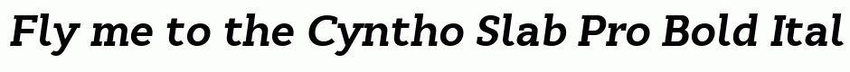 Cyntho Slab Pro Bold Italic
