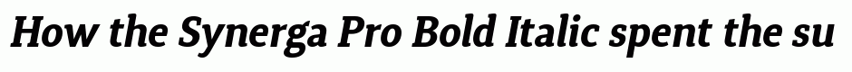 Synerga Pro Bold Italic
