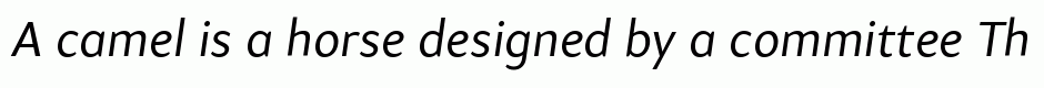 Samo Sans Pro Italic