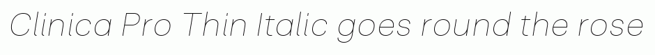 Clinica Pro Thin Italic