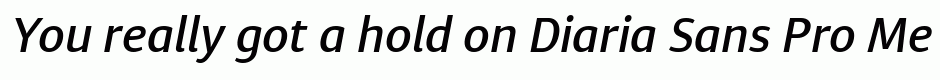 Diaria Sans Pro Medium Italic