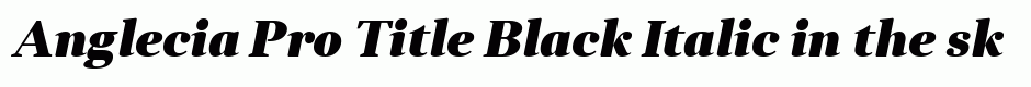 Anglecia Pro Title Black Italic