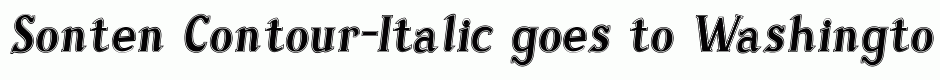 Sonten Contour-Italic