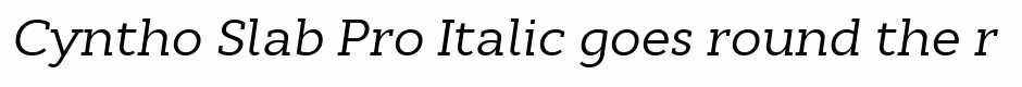 Cyntho Slab Pro Italic