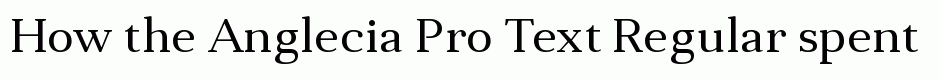 Anglecia Pro Text Regular