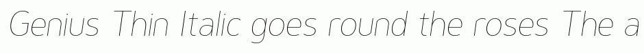 Genius Thin Italic