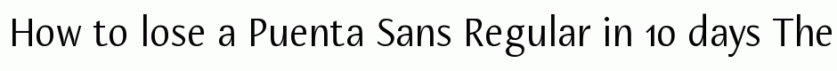 Puenta Sans Regular