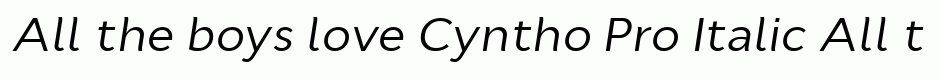 Cyntho Pro Italic