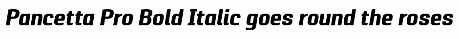 Pancetta Pro Bold Italic