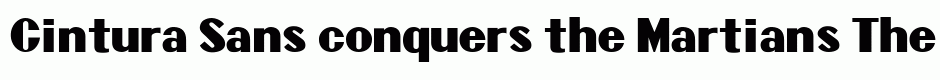 Cintura Sans