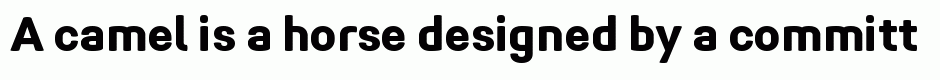 Midpoint Pro ExtraBold