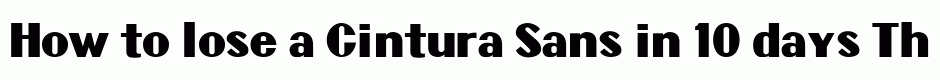 Cintura Sans
