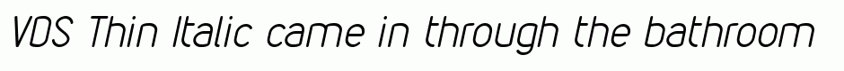 VDS Thin Italic