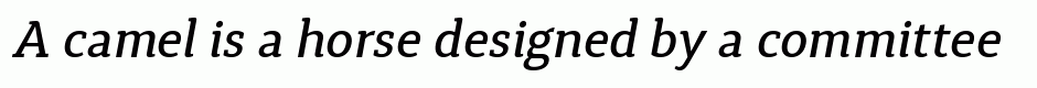 Synerga Pro Medium Italic