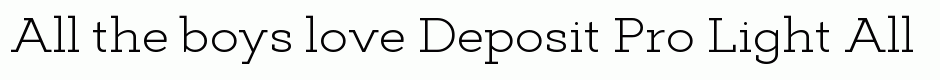 Deposit Pro Light