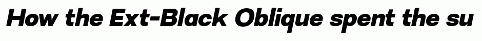 Ext-Black Oblique