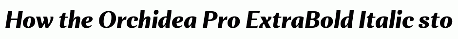 Orchidea Pro ExtraBold Italic