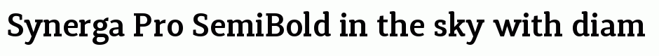 Synerga Pro SemiBold