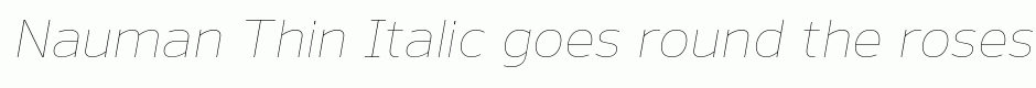 Nauman Thin Italic