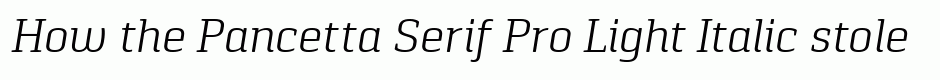 Pancetta Serif Pro Light Italic