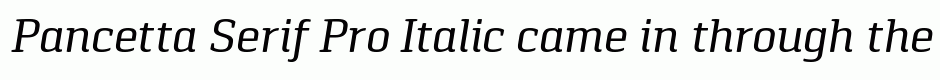 Pancetta Serif Pro Italic