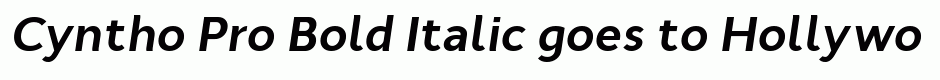 Cyntho Pro Bold Italic