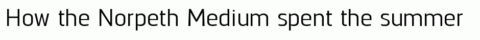 Norpeth Medium