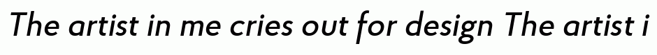 Proba Pro Medium Italic