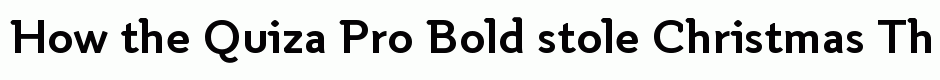 Quiza Pro Bold