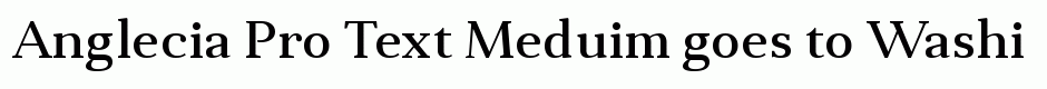 Anglecia Pro Text Meduim