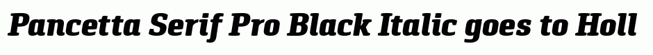 Pancetta Serif Pro Black Italic