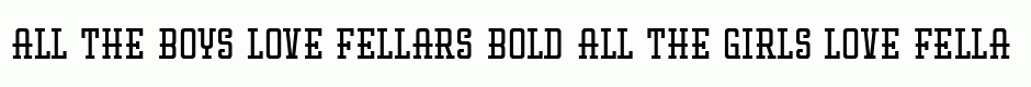 Fellars Bold