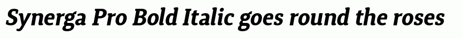 Synerga Pro Bold Italic