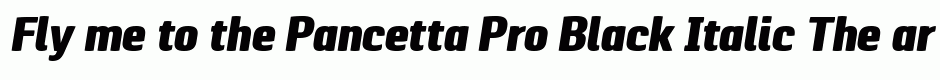 Pancetta Pro Black Italic