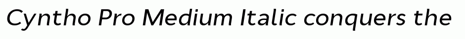 Cyntho Pro Medium Italic