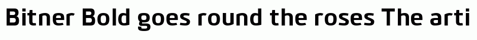 Bitner Bold