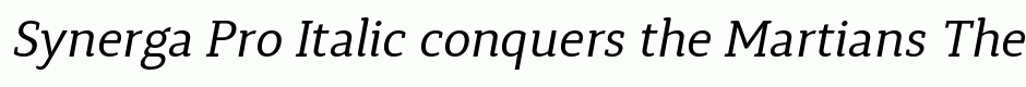 Synerga Pro Italic