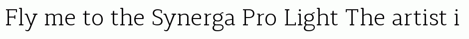Synerga Pro Light