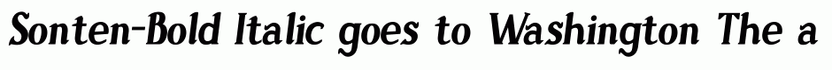 Sonten-Bold Italic