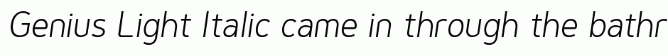 Genius Light Italic