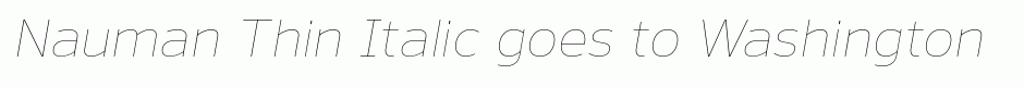 Nauman Thin Italic