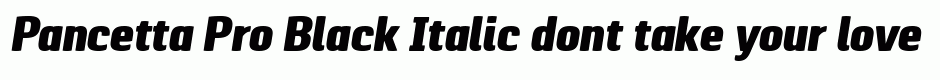 Pancetta Pro Black Italic