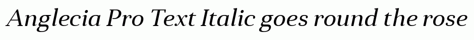 Anglecia Pro Text Italic
