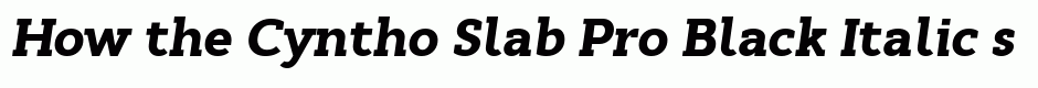 Cyntho Slab Pro Black Italic
