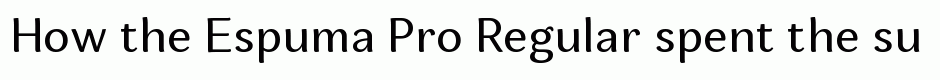 Espuma Pro Regular