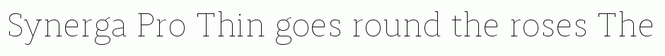 Synerga Pro Thin