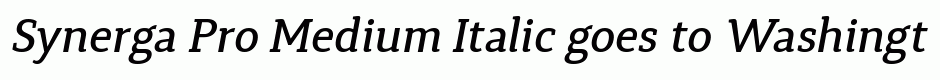 Synerga Pro Medium Italic