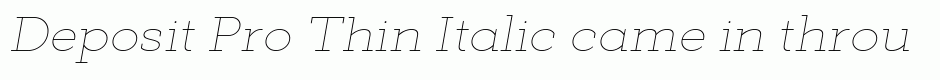 Deposit Pro Thin Italic