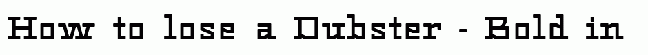 Dubster - Bold
