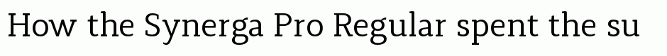 Synerga Pro Regular